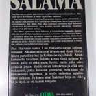Hannu Salama : Pasi Harvalan tarina 1-2 - pikkukuva 2