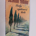 Susanna Tamaro : Kulje sydämesi tietä - pikkukuva 1