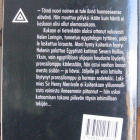 SaPo 33. Carter Dickson: Pronssilampun kirous. 2. painos. - pikkukuva 2