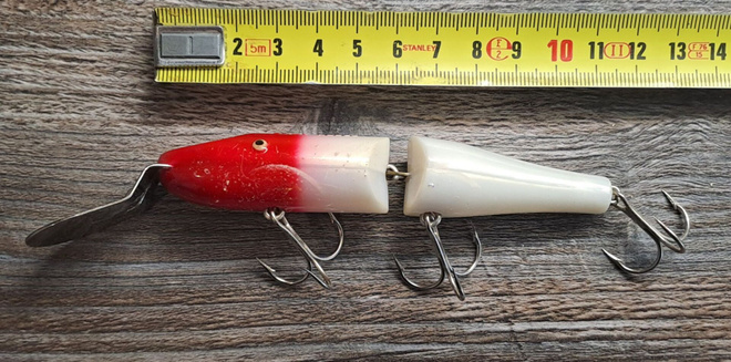 Creek chub pikie vaappu!