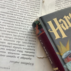 J.K. Rowling - Harry Potter ja viisasten kivi (sid.) - pikkukuva 2