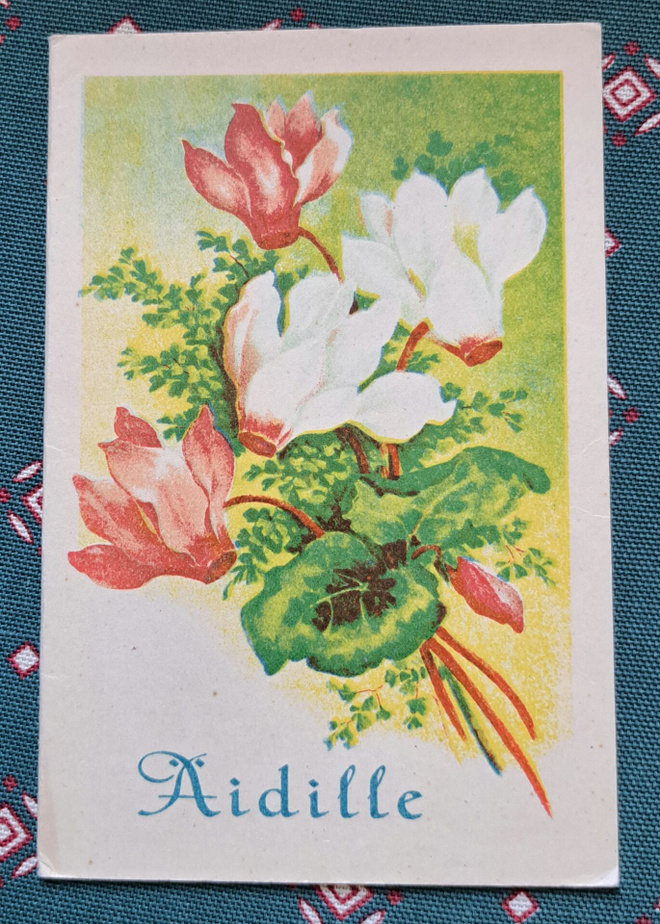 Kukkia,syklaamit, taittokortti, kulkenut 1941