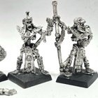 WHFB - 4kpl Tomb Kings Guard (sis. Command) [G133] - pikkukuva 2