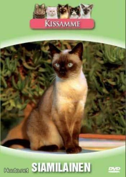 Kissamme - Siamilainen DVD