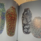Venetian Art Glass - 1840-1970 - Marino Barovier - 1.p. - pikkukuva 2