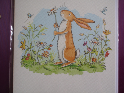 Anita Jeram pupu kukkakedolla tk + kuori