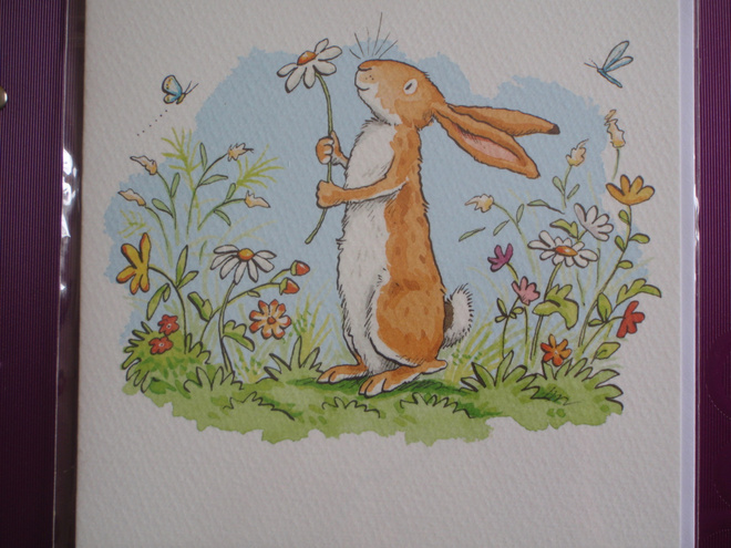 Anita Jeram pupu kukkakedolla tk + kuori