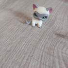 Lps seisovakissa, AITO - pikkukuva 1