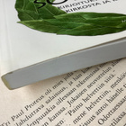 Torsti Lehtinen - Sika vai Sokrates: kirjoituksia... (nid.) - pikkukuva 2