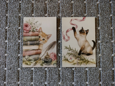 ~Kissa kortti~ 2kpl