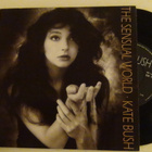 Kate Bush The sensual world 7 45 Englanti 1989 - pikkukuva 1