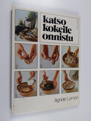 Agnete Lampe : Katso, kokeile, onnistu