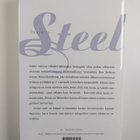 Danielle Steel : Etelän valot - pikkukuva 2