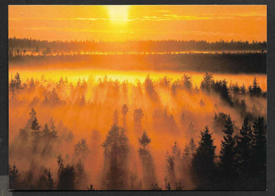 Kainuu - Kesäyön usva