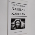 Jacques H. Teeuwen : The secret of Nabelan Kabelan : Ston... - pikkukuva 1