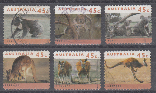 AUSTRALIA kenguruita ja koaloita