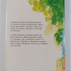 Caroline Courtney : Rakkauden sokkoleikki - pikkukuva 2
