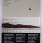 Sandy Pimenoff : Mare insularum - pikkukuva 2