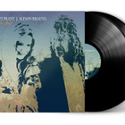 ROBERT PLANT & Alison Krauss : Raise the Roof - 2LP, uusi - pikkukuva 1