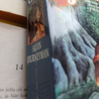 Orson Scott Card - Alvin Journeyman: Tales of Alvin Maker 4 - pikkukuva 2