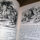 Lewis Carroll - Liisan seikkailut ihmemaassa & Peilimaassa - pikkukuva 2