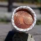 1 Cent Vuodelta 2005. Leijonalla. Pätkän paino -116g - pikkukuva 5
