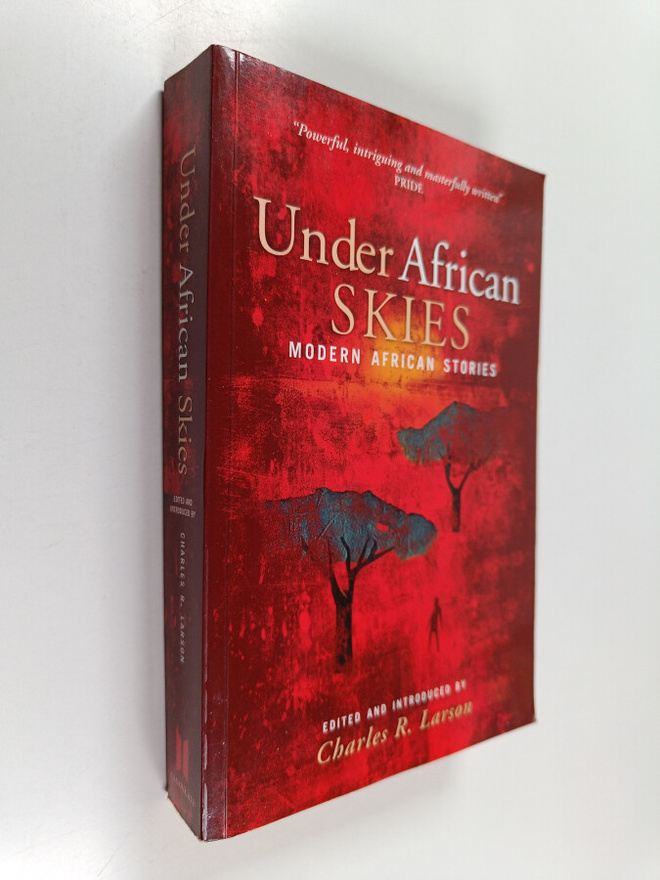 Under African skies : modern African stories