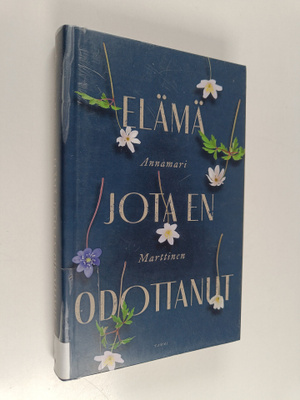 Annamari Marttinen : Elämä jota en odottanut