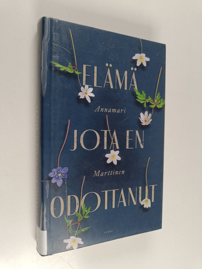 Annamari Marttinen : Elämä jota en odottanut