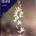 BO NYLEN: NORDENS FLORA - pikkukuva 1
