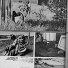 Pellervo n:o 17 1975 Kallunki. Arvi Lintunen. Marjatta Pöpön - pikkukuva 4