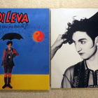DI LEVA: Vem Ska Jag Tro På?  LP  (1987 Ruotsi) - pikkukuva 1