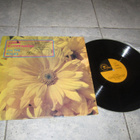 Jukka Kuoppamäki - On The Rocks - LP - pikkukuva 1