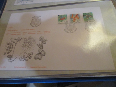 1991 Maakuntakukat FDC