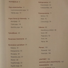 Suomalainen pajutyökirja - pajua kotiin ja puutarhaan - pikkukuva 4