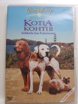 Kotia Kohti Seikkailu San Franciscossa DVD