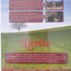 Lassie uskollinen ystävä Lassien poika DVD - pikkukuva 2