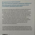 Lauri Järvilehto: Tee itsestäsi mestariajattelija - pikkukuva 2