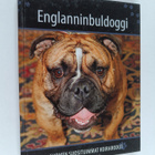 Englanninbulldoggi - pikkukuva 1