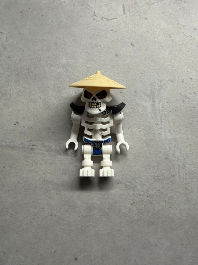 LEGO - Ninjago NJO0496: Wyplash (Skulkin)