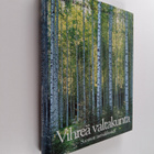Vihreä valtakunta : Suomen metsäklusteri - pikkukuva 1