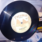 7" single Leevi and the Leavings: Raparperitaivas ( SIS POS - pikkukuva 3