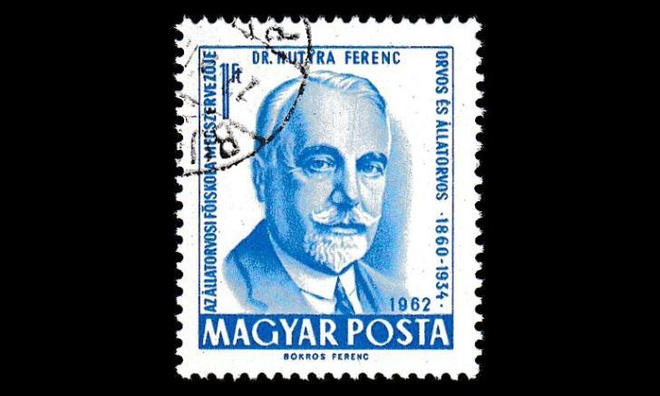 Unkari 1866 o Eläinlääketiede 175v (1962)