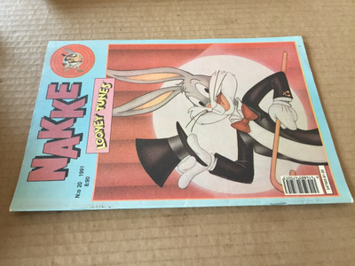 NAKKE LEHTI 20/1991 HYVÄ