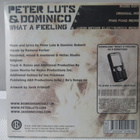 PETER LUTS & DOMINICO - WHAT A FEELING CDS - pikkukuva 2