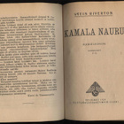 Jack London: Erämaa 1.p 1924 + mm. Riverton ysid. Katso! - pikkukuva 2