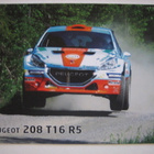 Peugeot rallikortti 19 D: Peugeot 208 T16 R 5 - Juha Salo - pikkukuva 1