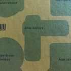 FRANGEN - HEIKURA: AITO IDIOTIA - pikkukuva 2