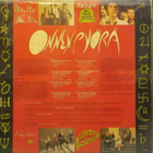 SIELUN VELJET - ONNENPYÖRÄ - FINLAND 1988 EX-/EX LP - pikkukuva 2