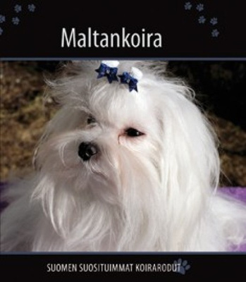 Maltankoira, uusi, sis. pk